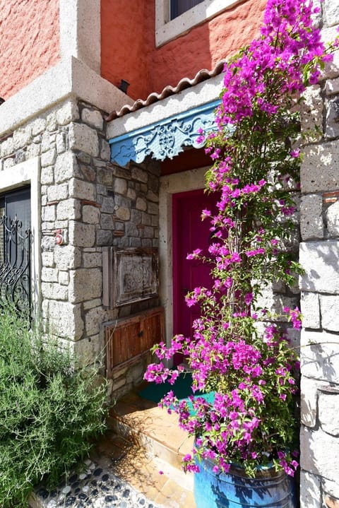 Facade/entrance, Decorative detail