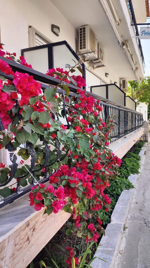 Property building, Balcony/Terrace