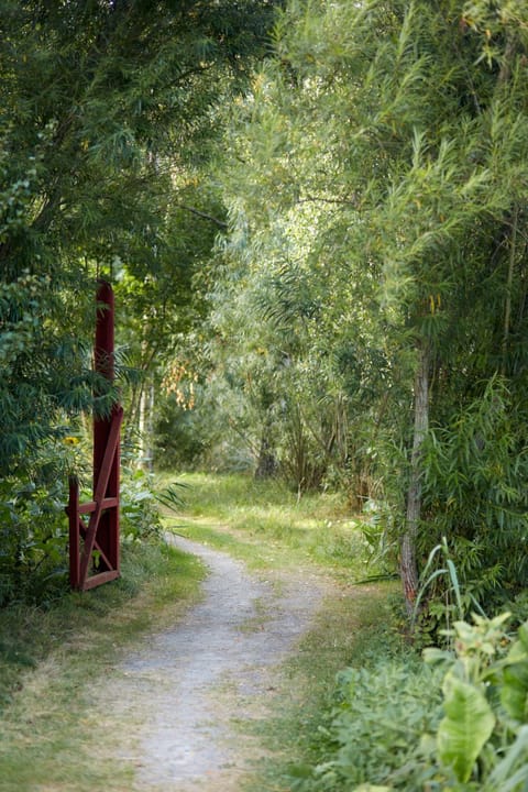 Natural landscape, Hiking