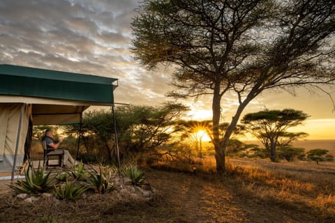 Serengeti Woodlands Camp Nature lodge in Kenya