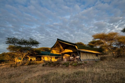 Serengeti Woodlands Camp Lodge nature in Kenya