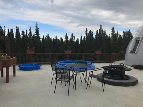 Delta Dome Home Basement Apartment Condo in Alaska