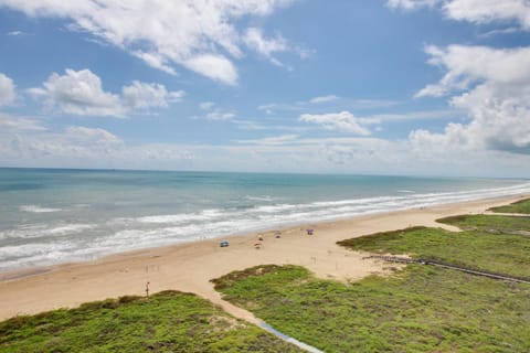 Sunchase Beachfront #210 Apartment in South Padre Island