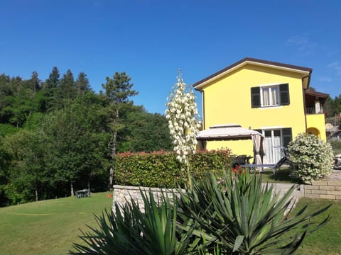 Garden, Garden view