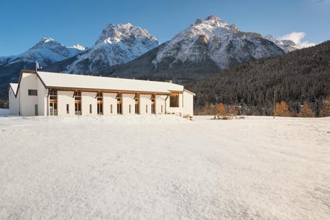 Property building, Winter