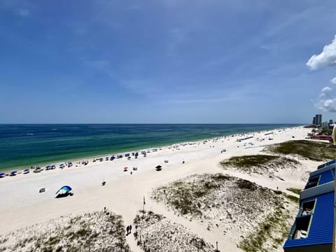 Castaways 9C Condo Apartment in Gulf Shores