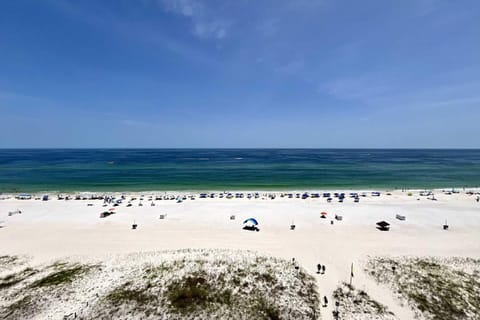 Castaways 9C Condo Apartment in Gulf Shores