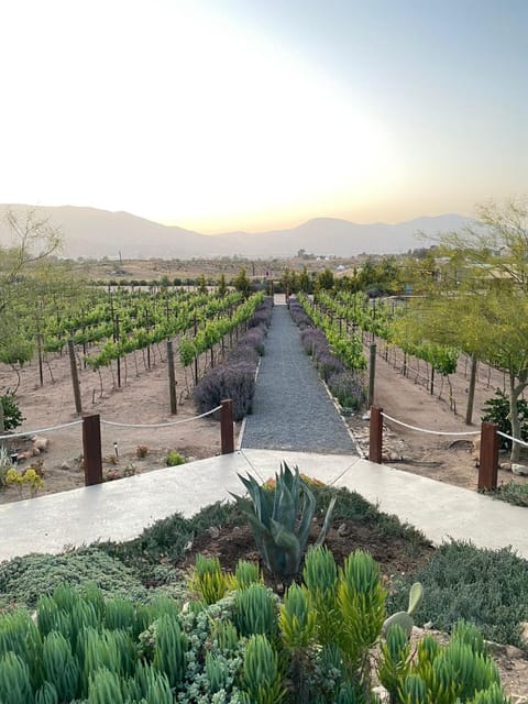 Luna Del Valle House in State of Baja California