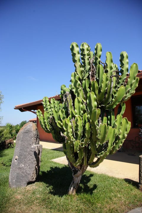 CuccuruAio' B&B Farm Stay in Sardinia