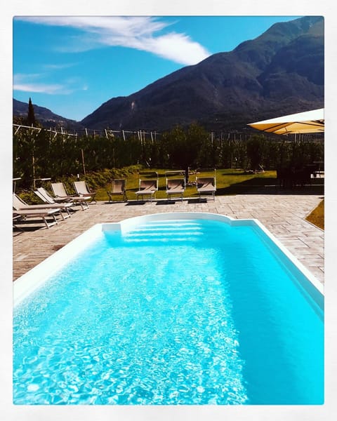 Day, Pool view, Swimming pool