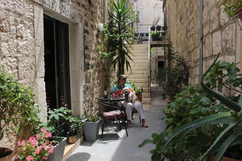 Facade/entrance, Garden