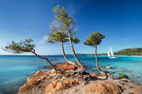 Nearby landmark, Off site, Natural landscape, Beach