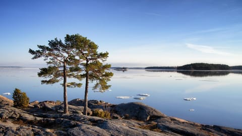 Spring, Neighbourhood, Natural landscape, Summer, Sea view, Area and facilities