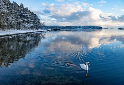 Neighbourhood, Natural landscape, Winter, Sea view, Area and facilities, Area and facilities