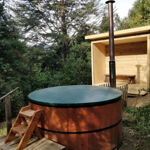 Hot Tub, Spa and wellness centre/facilities