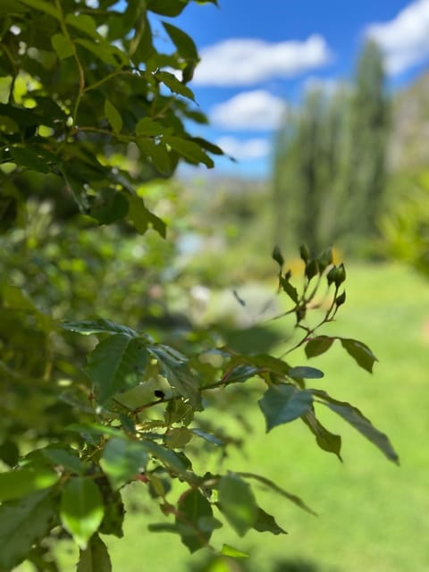 The Canyons B&B Bed and Breakfast in Queenstown