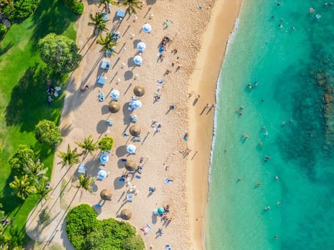 Day, Natural landscape, Bird's eye view, Beach, Sea view, sunbed