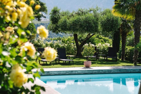 Natural landscape, Garden, Swimming pool, sunbed