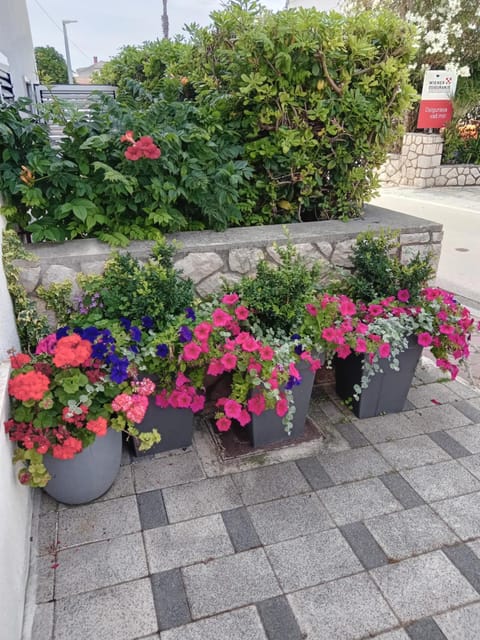 Guesthouse Anton Bed and Breakfast in Novalja