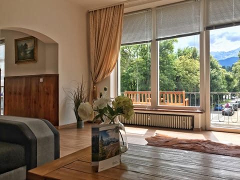 Living room, Photo of the whole room, Decorative detail, Mountain view
