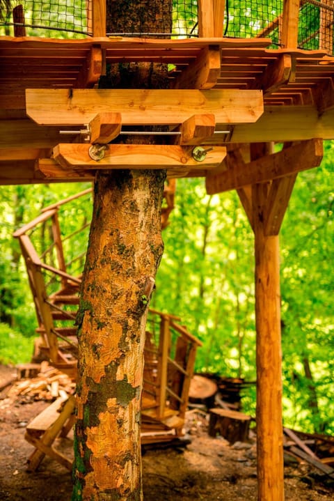 Treehouse pod Jestedem Nature lodge in Saxony