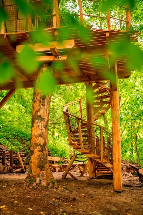 Treehouse pod Jestedem Nature lodge in Saxony