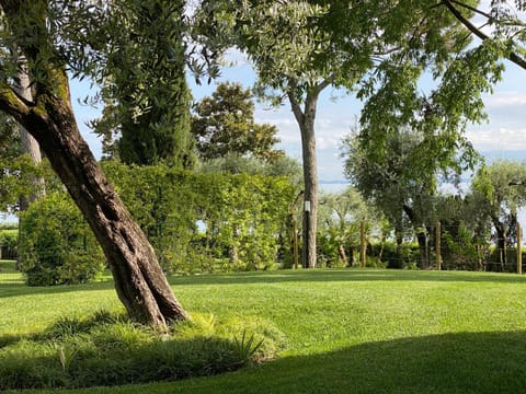 Patio, Balcony/Terrace