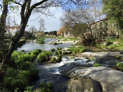 View (from property/room), River view