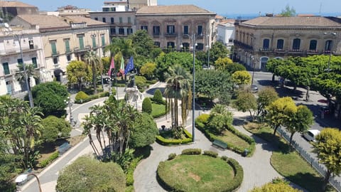 Natural landscape, City view, Street view