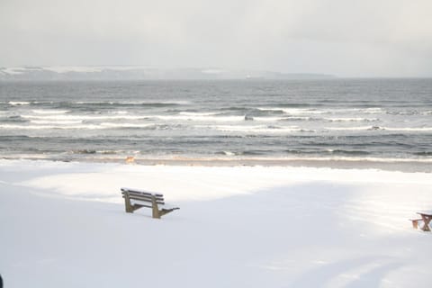 The Albert Inn Inn in Nairn