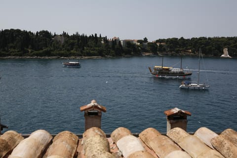 Day, Summer, Other, Area and facilities