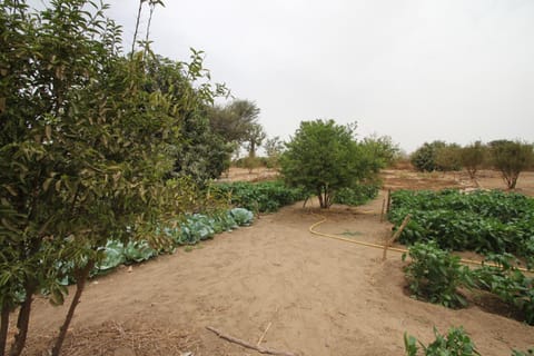 Le Verger d'Anta Farm Stay in Thiès Region, Senegal