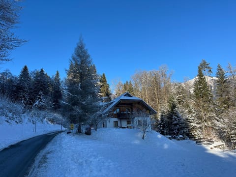 Ferienwohnung Waldhauser Apartment in Friuli-Venezia Giulia