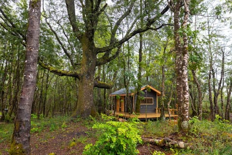 La Escondida Pucon Nature lodge in Argentina