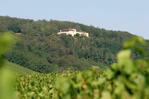 Property building, Bird's eye view