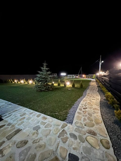 Night, Area and facilities