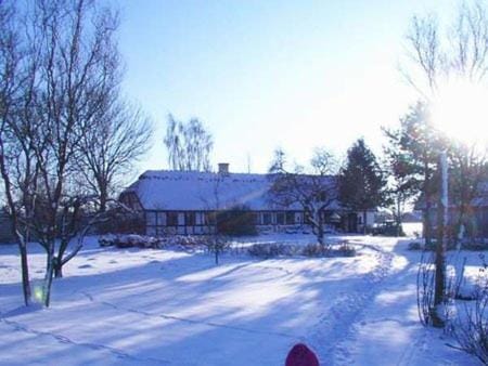 Winter, Garden view