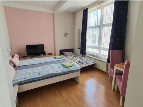 Studio Apartman LD u Strogom Centru Apartment in Novi Sad