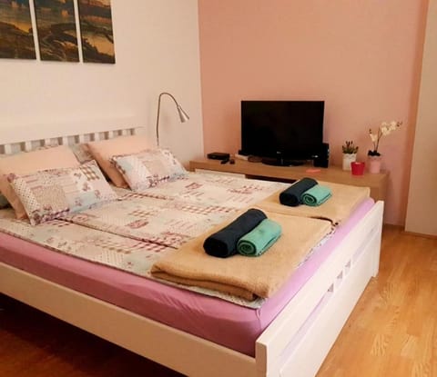 Studio Apartman LD u Strogom Centru Apartment in Novi Sad