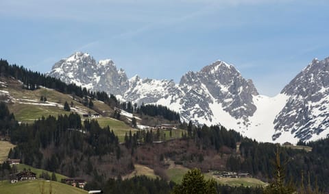 Natural landscape