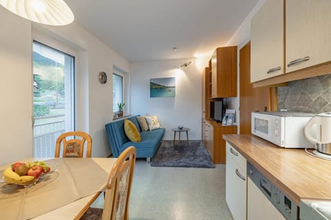 Kitchen or kitchenette, kitchen