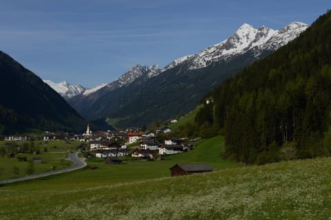 Spring, Neighbourhood, Summer, Autumn