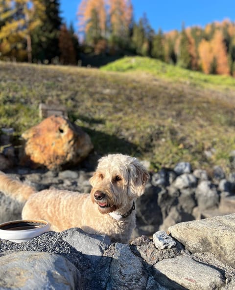 Apart Gabriele - Pure Alpin Style Apartment in Saint Anton am Arlberg