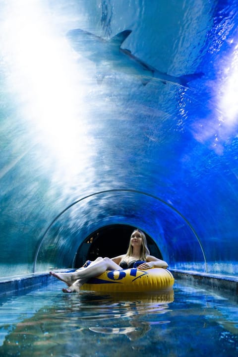 Aqua park, Swimming pool