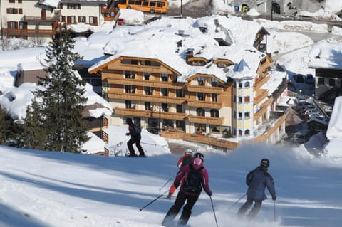 Property building, Winter, Winter, Skiing