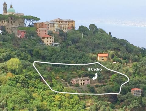 Villa Olivari - apt il Cedro Appartement in Camogli
