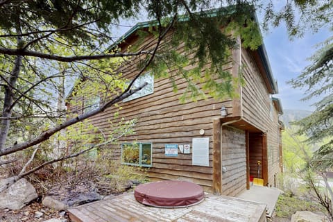 Ski Slopes and Scenic Views House in Whitefish