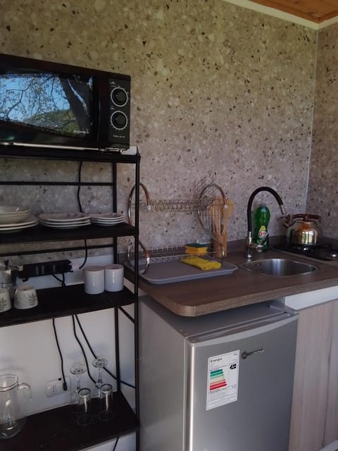 Kitchen or kitchenette, minibar, stove