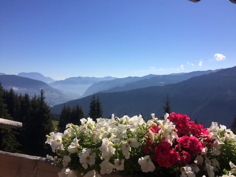 Natural landscape, Mountain view