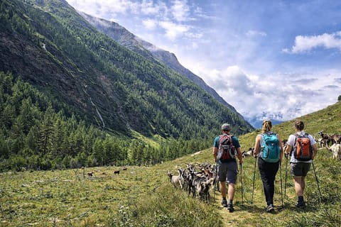 Appartementhaus Flattach Apartment in Carinthia, Austria